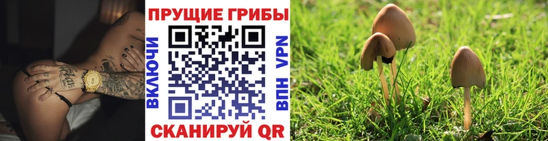 Псилоцибиновые грибы Magic Shrooms Уварово